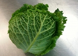 Picture of Savoy Cabbage